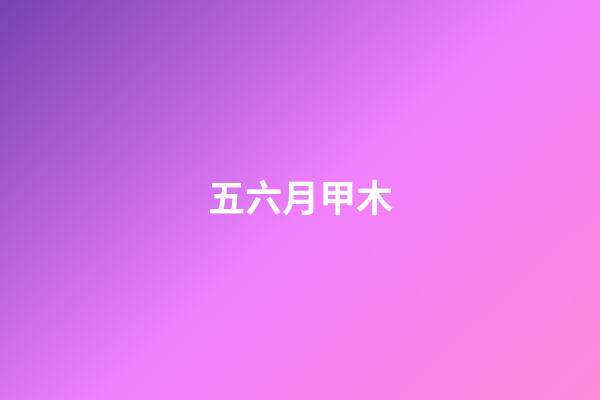 五六月甲木