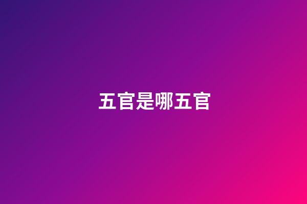 五官是哪五官