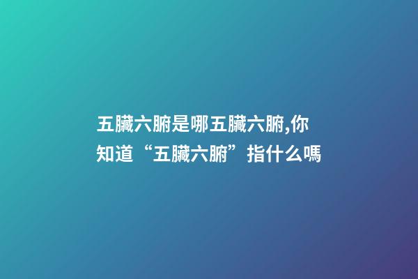 五臟六腑是哪五臟六腑,你知道“五臟六腑”指什么嗎-第1張-觀點-玄機派