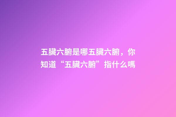 五臟六腑是哪五臟六腑，你知道“五臟六腑”指什么嗎-第1張-觀點-玄機派