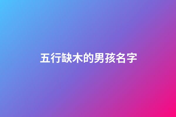 五行缺木的男孩名字