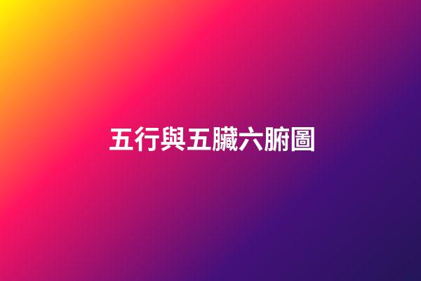 五行與五臟六腑圖