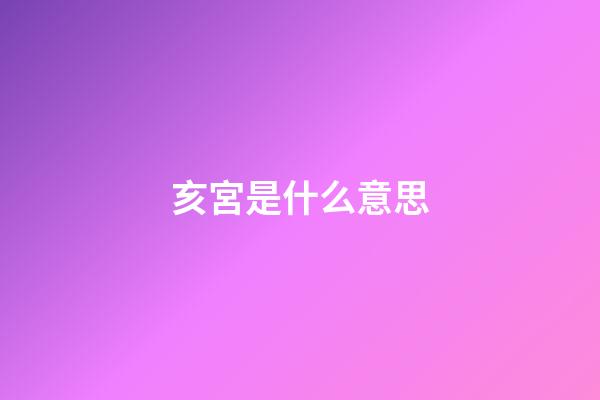 亥宮是什么意思