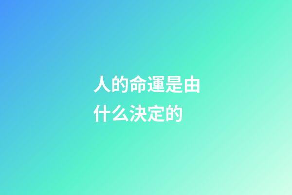 人的命運是由什么決定的