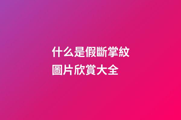 什么是假斷掌紋圖片欣賞大全