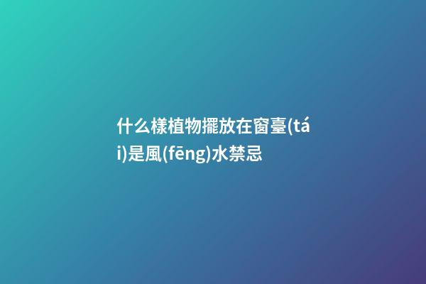 什么樣植物擺放在窗臺(tái)是風(fēng)水禁忌