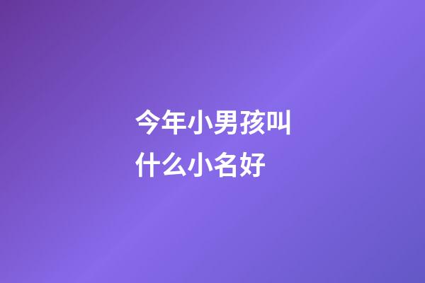 今年小男孩叫什么小名好(今年男孩小名叫什么好)-第1張-男孩起名-玄機派