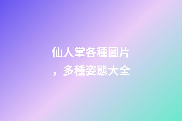 仙人掌各種圖片，多種姿態大全-第1張-觀點-玄機派