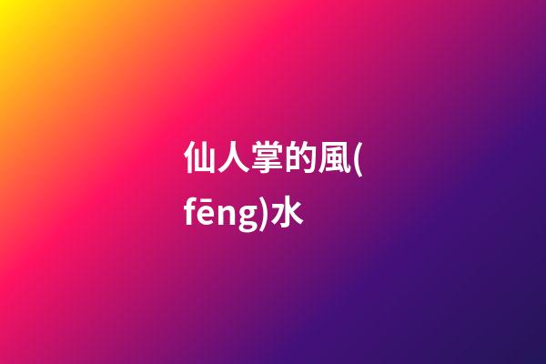 仙人掌的風(fēng)水