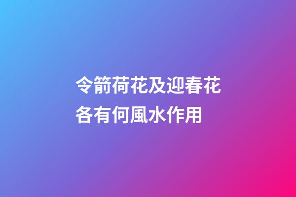令箭荷花及迎春花各有何風水作用?
