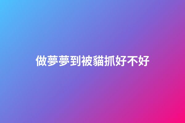 做夢夢到被貓抓好不好