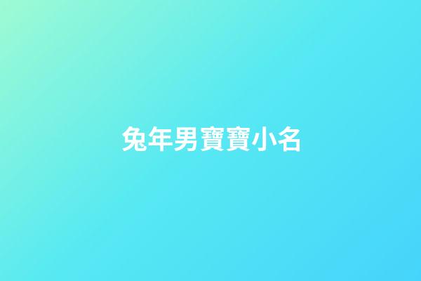 兔年男寶寶小名(兔年男孩小名叫什么好聽)-第1張-男孩起名-玄機派
