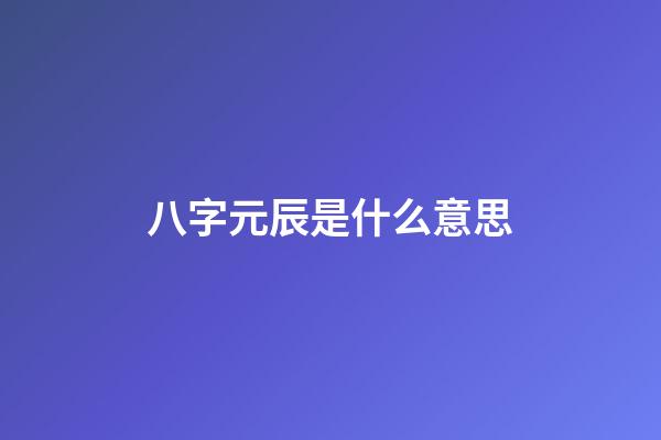 八字元辰是什么意思