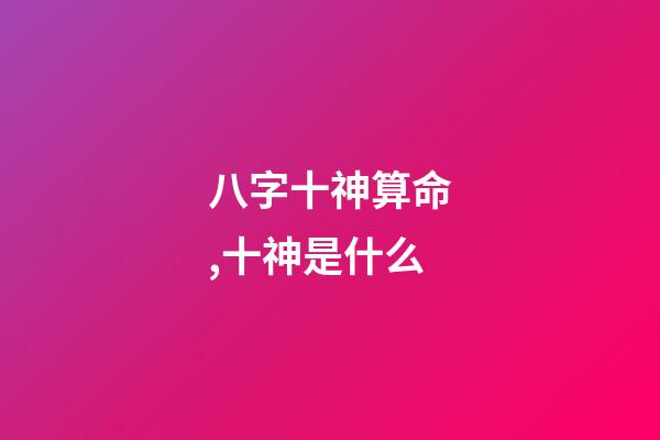 八字十神算命,十神是什么