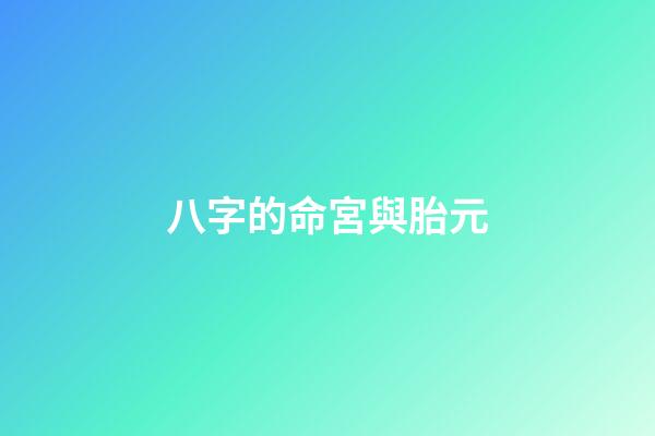 八字的命宮與胎元