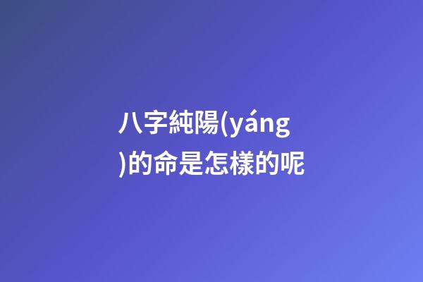 八字純陽(yáng)的命是怎樣的呢?