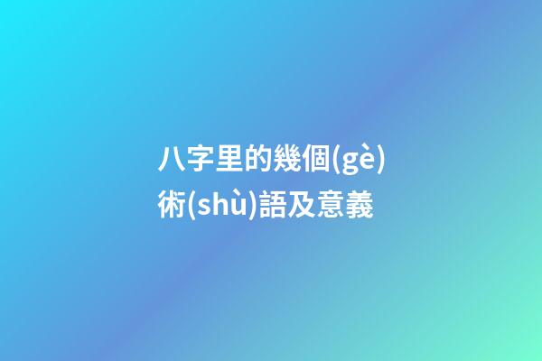 八字里的幾個(gè)術(shù)語及意義