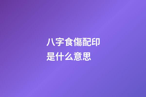 八字食傷配印是什么意思