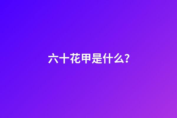 六十花甲是什么？