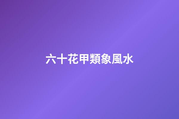 六十花甲類象風水