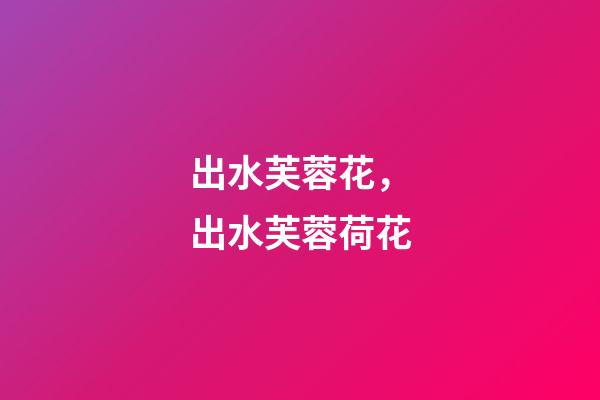 出水芙蓉花，出水芙蓉荷花