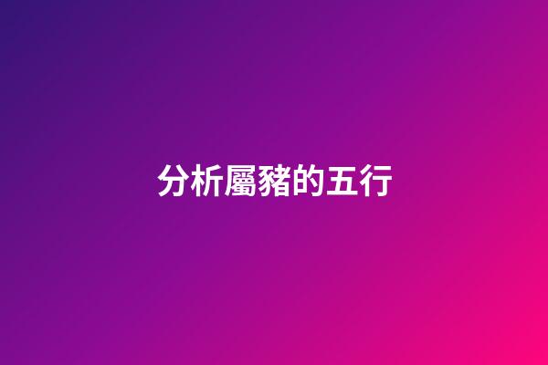 分析屬豬的五行
