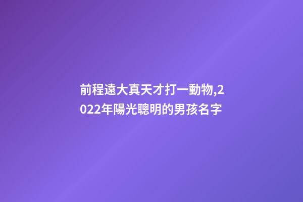 前程遠大真天才打一動物,2022年陽光聰明的男孩名字-第1張-觀點-玄機派