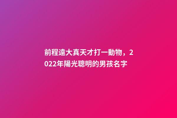 前程遠大真天才打一動物，2022年陽光聰明的男孩名字-第1張-觀點-玄機派