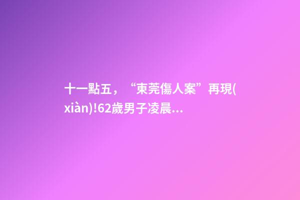 十一點五，“東莞傷人案”再現(xiàn)!62歲男子凌晨5點到上海-第1張-觀點-玄機(jī)派