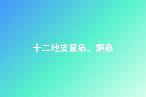 十二地支意象、類象