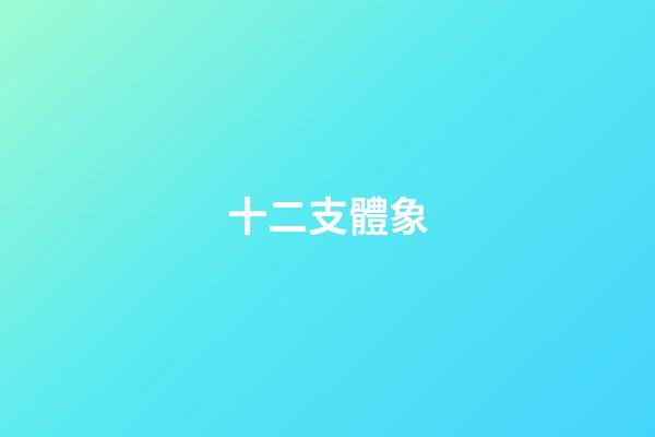 十二支體象
