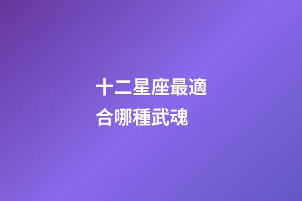 十二星座最適合哪種武魂-第1張-星座運勢-玄機派
