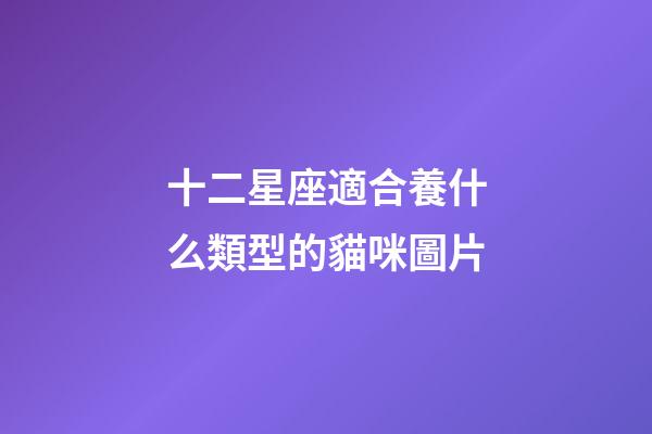 十二星座適合養什么類型的貓咪圖片-第1張-星座運勢-玄機派