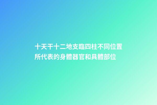 十天干十二地支臨四柱不同位置所代表的身體器官和具體部位