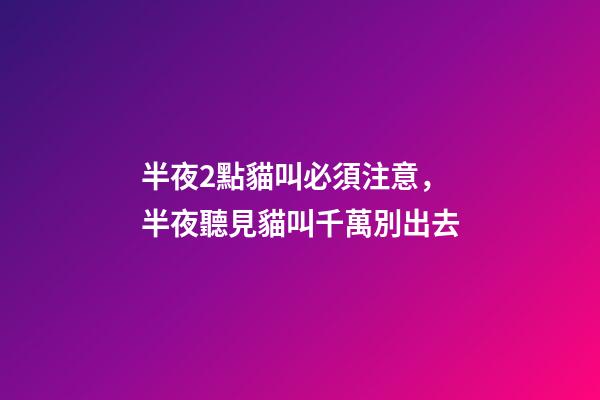 半夜2點貓叫必須注意，半夜聽見貓叫千萬別出去-第1張-觀點-玄機派