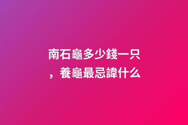 南石龜多少錢一只，養龜最忌諱什么-第1張-觀點-玄機派