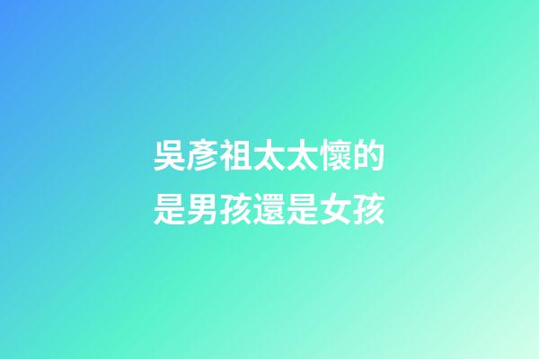 吳彥祖太太懷的是男孩還是女孩