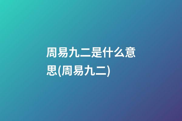 周易九二是什么意思(周易九二)
