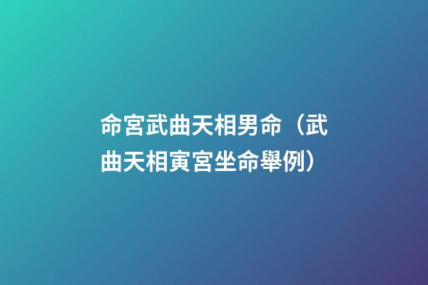 命宮武曲天相男命（武曲天相寅宮坐命舉例）-第1張-觀點-玄機派