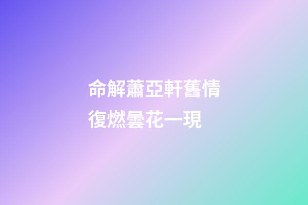 命解蕭亞軒舊情復燃曇花一現