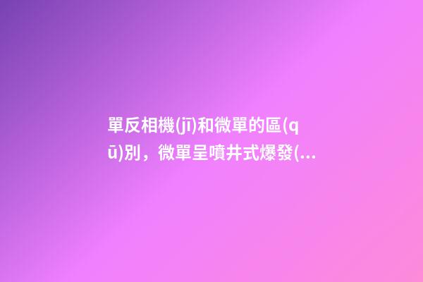 單反相機(jī)和微單的區(qū)別，微單呈噴井式爆發(fā)-第1張-觀點(diǎn)-玄機(jī)派