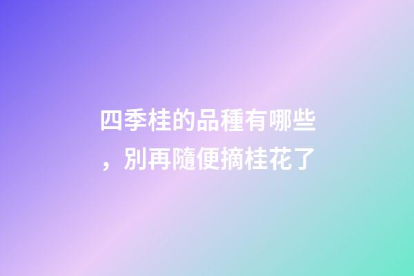四季桂的品種有哪些，別再隨便摘桂花了-第1張-觀點(diǎn)-玄機(jī)派