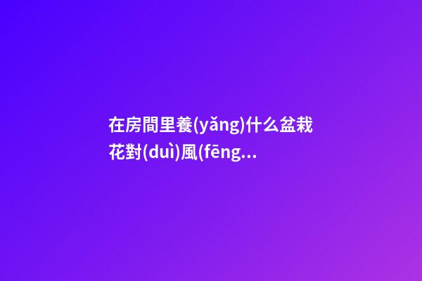 在房間里養(yǎng)什么盆栽花對(duì)風(fēng)水好