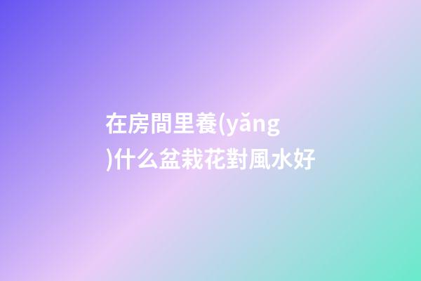 在房間里養(yǎng)什么盆栽花對風水好