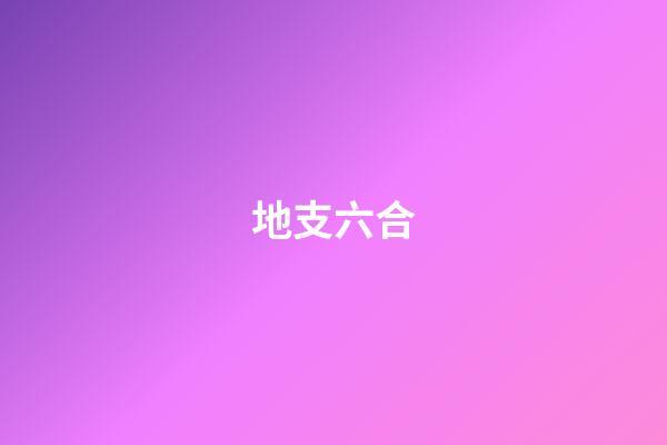 地支六合
