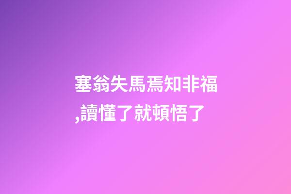 塞翁失馬焉知非福,讀懂了就頓悟了-第1張-觀點-玄機派