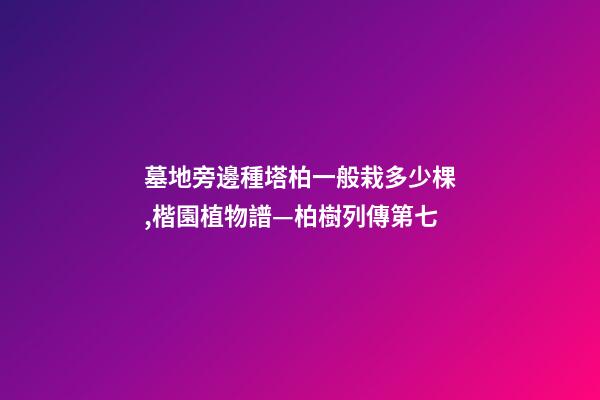 墓地旁邊種塔柏一般栽多少棵,楷園植物譜—柏樹列傳第七-第1張-觀點-玄機派