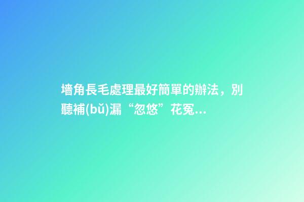墻角長毛處理最好簡單的辦法，別聽補(bǔ)漏“忽悠”花冤枉錢-第1張-觀點(diǎn)-玄機(jī)派