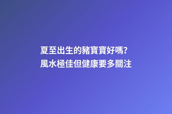 夏至出生的豬寶寶好嗎？風水極佳但健康要多關注