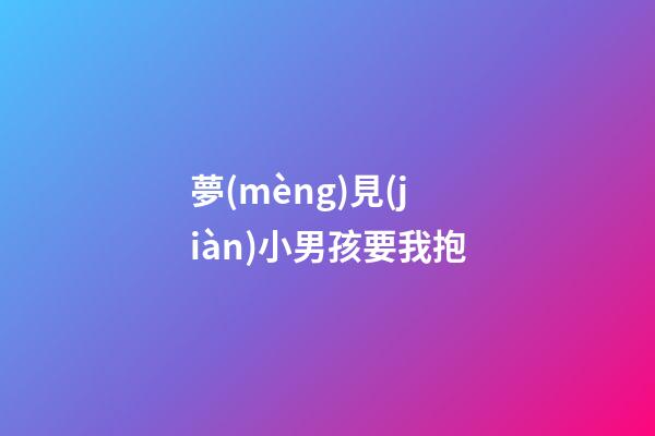 夢(mèng)見(jiàn)小男孩要我抱